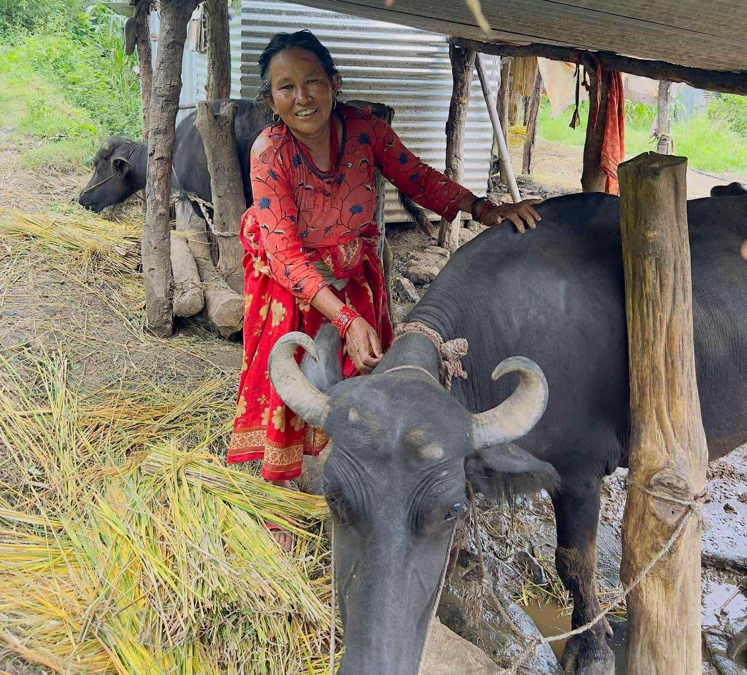 Self-Help Group (SHG) Program - Women for Peace and Democracy Nepal ...